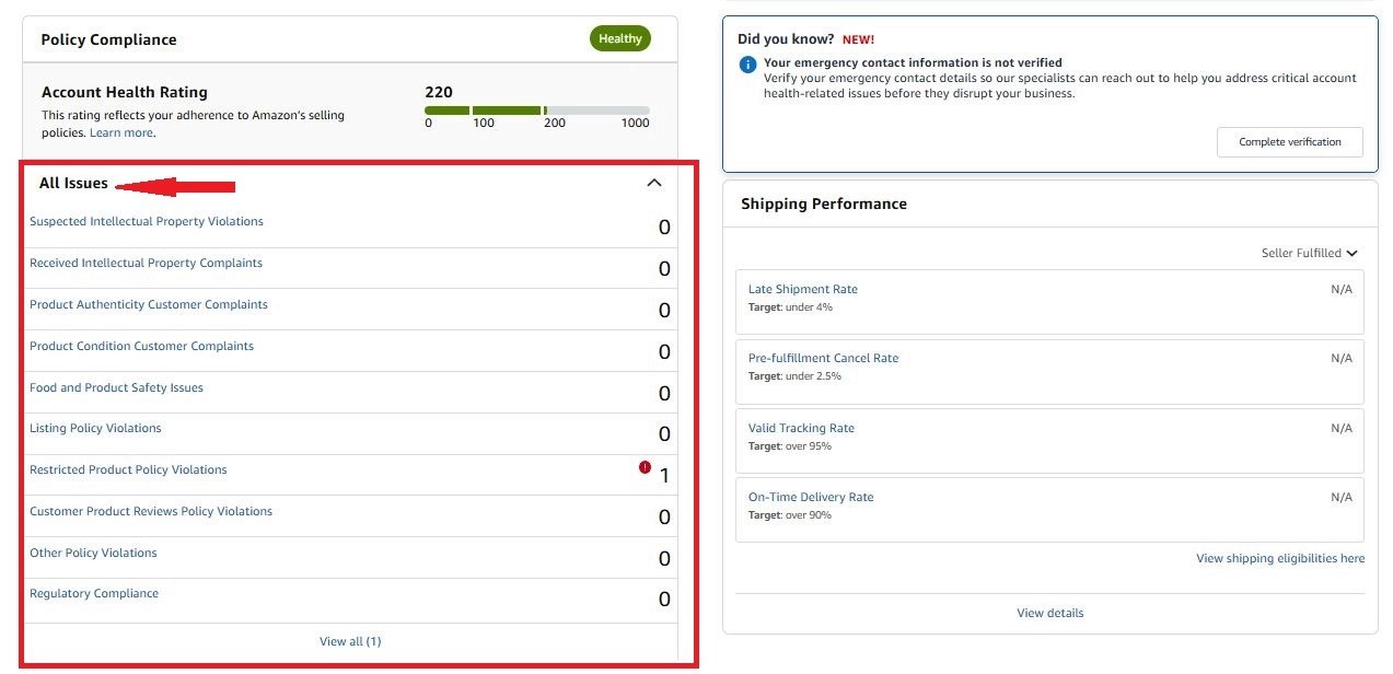 Seller Central all issues account health section